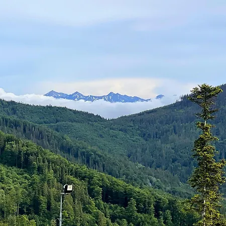 Rezydencja Zawoja 샬레