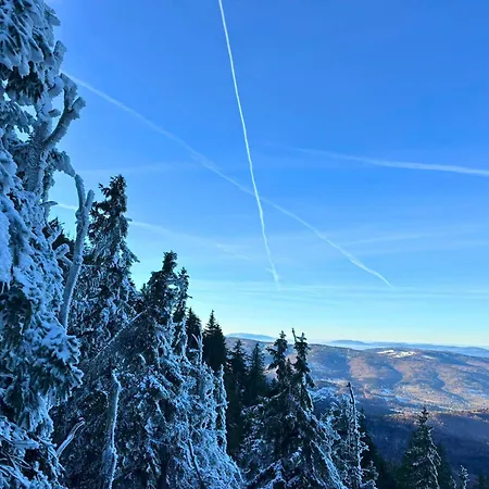 Rezydencja Zawoja 샬레